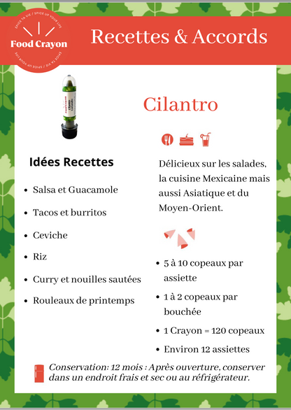 Cilantro